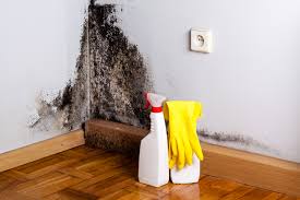 Best Comprehensive Air Testing for Mold Contaminants in Fallston, MD